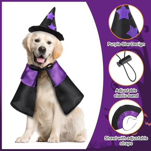 2 sets disfraz Halloween mascota gato perro miniatura 3