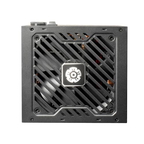 Fuente de alimentación Enermax Revolution III S 1000W modular miniatura 4