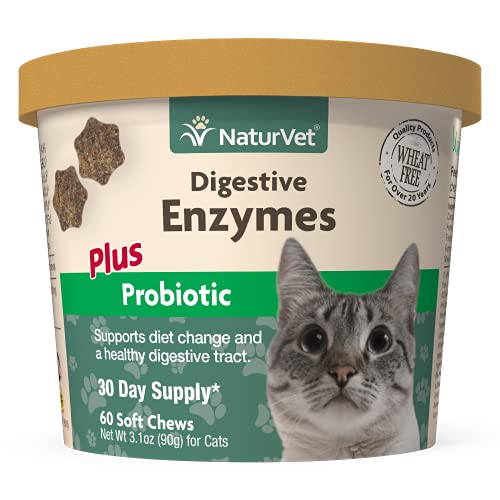 15 Best Probiotics For Cats Lelu & Bobo