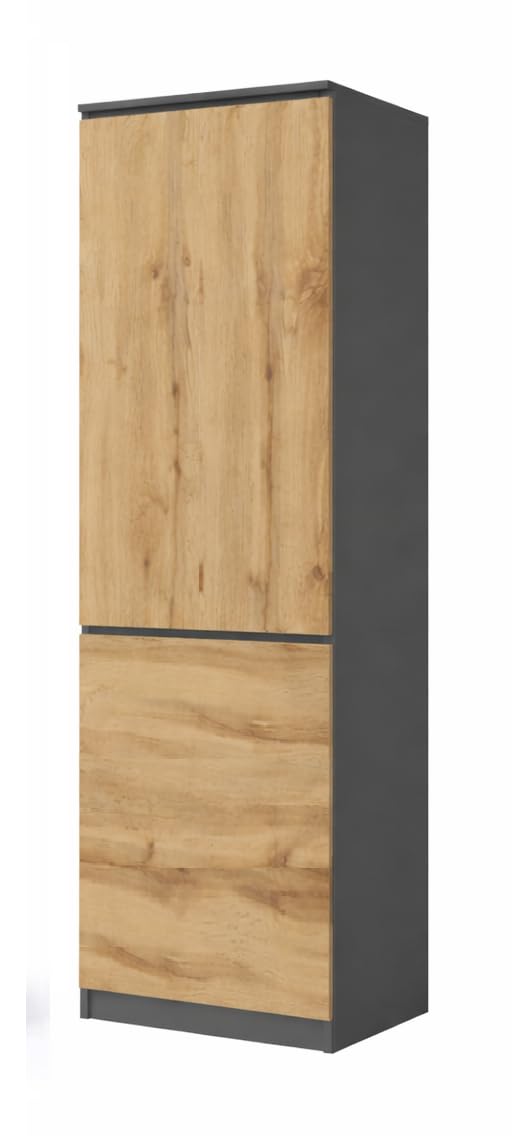 Armoire polyvalent, penderie, armoire à vêtements avec 2 portes et 5 compartiments, armoire universelle pour bureau et maison, 180,5 x 50 x 40 cm (graphite/chêne Wotan)