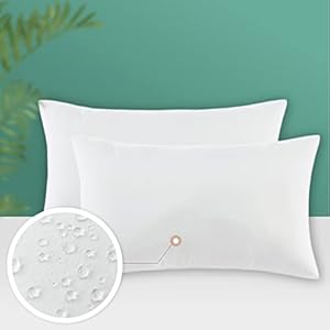 Codi Outdoor Lumbar Pillow Inserts 12x20 Set of 2, Water Resistant Throw Pillows Insert for Patio Furniture Codi Outdoor Lumbar Pillow Inserts 12×20 Set of 2 Water Resistant Throw Pillows Insert for Patio Furniture