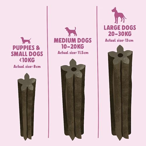 Denzel's Dog Dental Sticks - Dental Chews for Small Dogs & Puppy - Salmon & Spearmint (Pack of 28), Blue, 13 g (Pack of 28) - Image 3