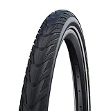 Schwalbe
