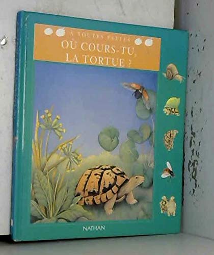 Où cours-tu, la tortue ?