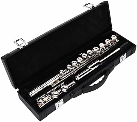 C Tone Flute,16 Closed Hole Flute Cupronickel Flutes Wind Instrument Assembly Kit for Beginners