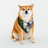 BONDIJ