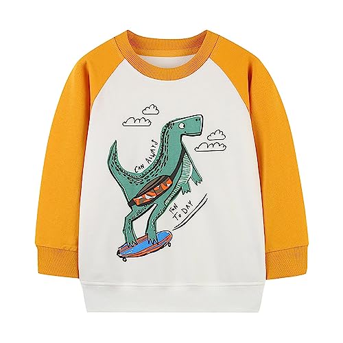 Toddler Autumn Tops Boys 2024 Skateboarding Dinosaur Print Casual Pullover Round Neck Long Sleeve Sweatshirt
