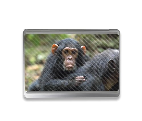 Image of MightySkins Carbon Fiber Skin Compatible with Microsoft Surface Laptop Studio 2 (2023) Full Wrap Kit - Baby Chimp | Protective, Durable Textured Carbon Fiber Finish | Easy to Apply | Made in The USA