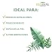 Ecodepil Manopla Depilación Natural sin Dolor Cuerpo + Dedín Facial para 5/6...