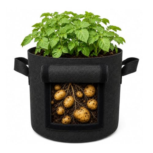 Image of Casa De Amor 15x12 Inch Potato Grow Bags for Root Vegetables, Geo Fabric 400 GSM Plant Bag (Black Color, Pack of 1)