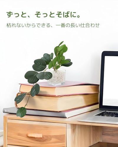 WillingYou 人工観葉植物 ハート型 ガラス鉢 卓上 フェイクグリーン インテリア オフィス 鉢植え テラリウム 清潔な石 光沢 おしゃれ ギフト [5]