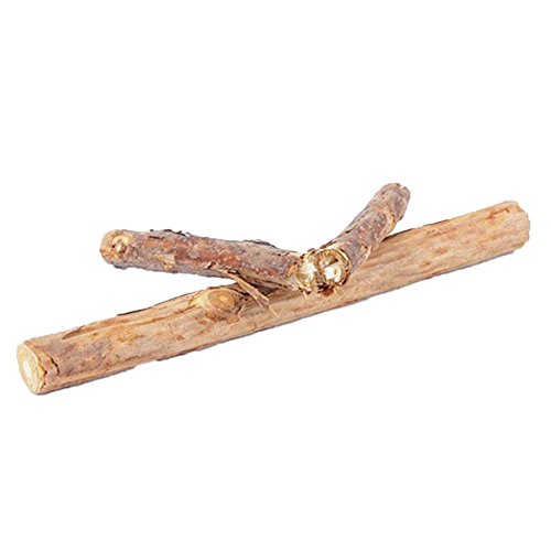 ZHOUBA 2 pcs pour chat chaton à mâcher bâton jouet à mastiquer Naturel Matatabi Polygama Herbe à chat Molaire Cover