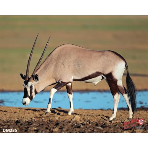 Duramesh Archery Targets Gemsbuck, DM 235