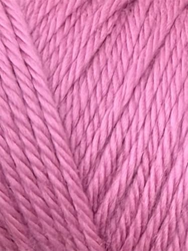 Image of Bulk Buy: Caron Simply Soft Yarn Solids (2-Pack) (BlackBerry)