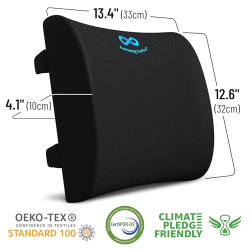 Everlasting Comfort The Original Lumbar Support Pillow - Improves Posture, Promotes Back Pain Relief - Superior Office Chair Back Support for Gaming and Desk Chairs - Lumbar Pillow for Car, Couch - Image 3