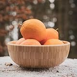 pandoo B0BS9GZXZ6 lato 4