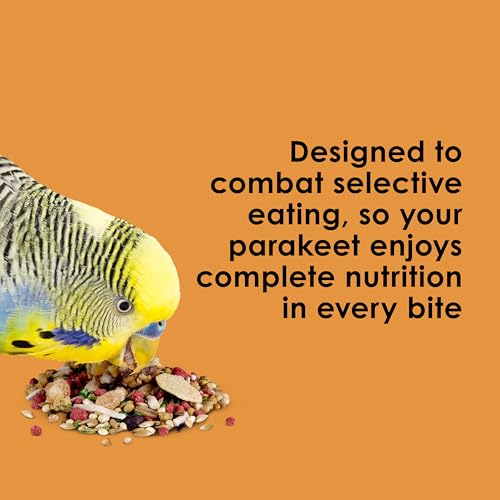Kaytee Fiesta Parakeet Food, Nutritious and Fun Blend, Supports Skin, Feather, Digestion, Brain and Heart Health, 2 pounds - Image 5