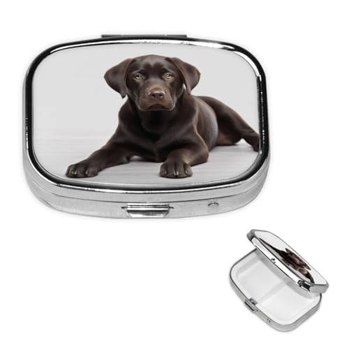 スクエアピルケース 財布またはポケット用 2コンパートメント 薬 ピルボックス ポータブル 小型 ピルオーガナイザー 犬 ピルボックス 旅行 薬 ビタミン タラ 肝油 収納ボックス