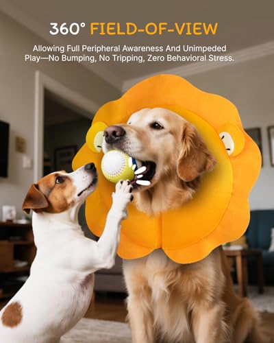 Image of MIDOG Inflatable Dog Cone, Lion Mane Recovery Collar, Medium