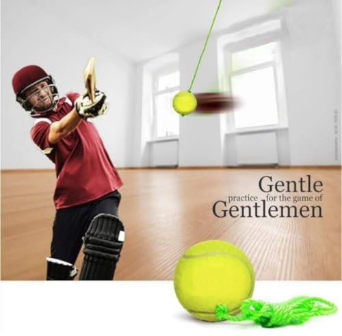 Image of Hanging Cricket Ball with 3.5m Rope | Indoor & Outdoor Knocking Practice (1-Pack)