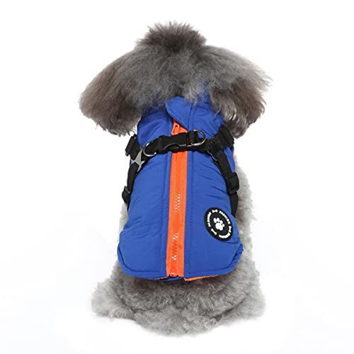 These Are The Best Dog Jacket With Builtin Harness Spicer Castle