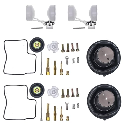 �ɓK������V���h�E VLX 600 VT600C VT600CD 1988 1989 1990 1991 1992 1993 1994 1995 1996 1997 1998 �p�L���u���^�[�C���L�b�g �L���u���^�[�č\�z�Z�b�g �^��_�C���t�����t���[�g