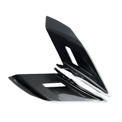 Ailerons pour 450SR stabilisant la moto lors des sorties sur circuit