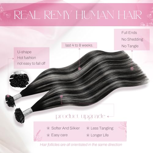 Moresoo U Tip Hair Extensions Real Human Hair Balayage Off Black and Silver Hot Fusion Keratin Bond Hair Extensions 14 Inch 40g/50s #1B/silver/1B - Image 2