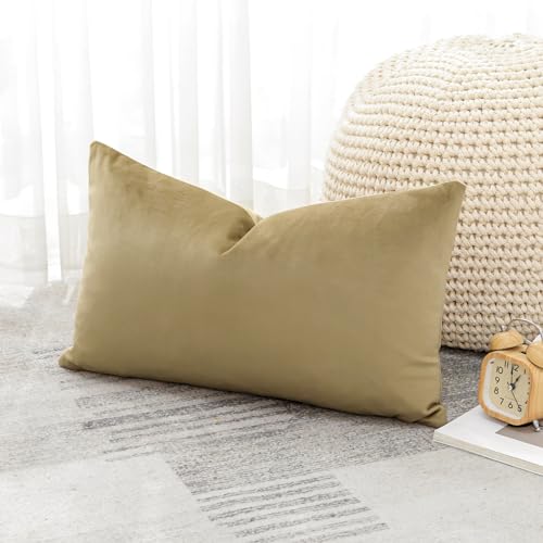 Artscope Luxury Velvet Cushion Covers Super Soft Decorative Rectangle Throw Pillow Covers Case Cushion Covers for Sofa Couch Bedroom Car Decor 40x60cm Tan - Image 4