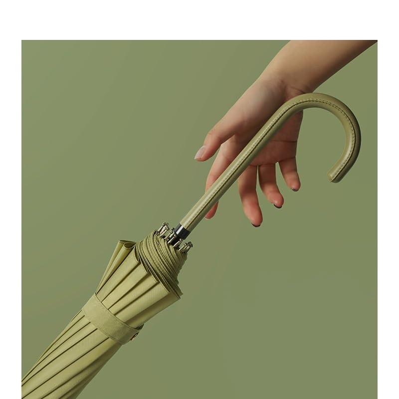 eexbz Umbrellas for Rain 16-Bone Handle Open Umbrella Double Fair Umbrella Strong Umbrella for Wind and Rain(C)