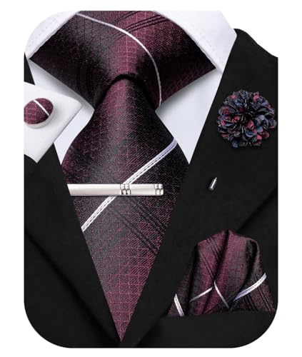 Image of Hi-Tie Mens Paisley Floral Striped Ties Set Silk Necktie and Lapel Pin for Men Pocket Square Cufflinks Set Business Wedding