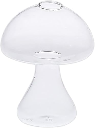 Lazyspace Florero elegante y estable de vidrio de borosilicato transparente de alta calidad hecho a mano para oficina plantas hidropónicas para