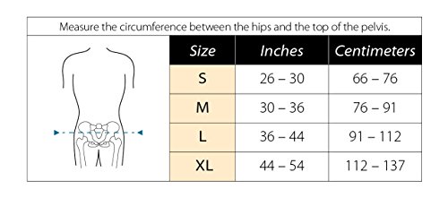 Bioskin Vector Back Brace - Premium Lower Back Brace For Lumbar Support - Adjustable Support For Lumbago, Lower Back Pain, And Spasms #TOP1