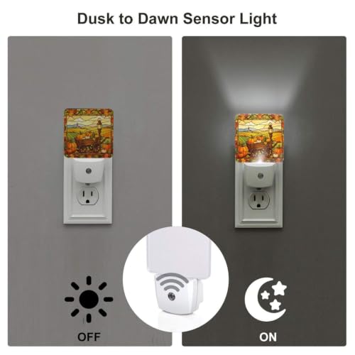 Image of Fall Pumpkin Vintage Farmhouse LED Plug-in Night Lamp Set of 2 for Bathroom