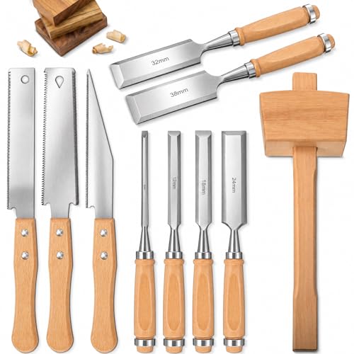 Lanties 10 Pcs Woodworking Tools Set, Includes 6 Wood Chisel