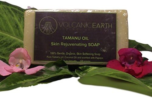 Tamanu Oil Soap - large