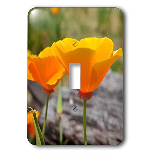 Interrupteur coquelicots orange deco interieure plaque de commutation 3dRose - 2