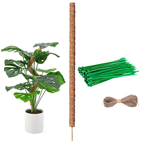 Monstera Rankhilfe, 40cm Pflanzenstab Moosstab, Moosstab Monstera Stab Pflanzstab Monstera für Kletterpflanzen Pflanzenname Pflanzzeit Pflanzenunterstützung