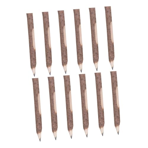 BATHVEVE 12 ؐVR}yV ϋvwZp[eB[p GSm~bNObv f ItBX A[gvWFNgp