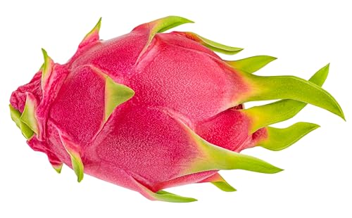 20 Seeds White Dragon Fruit (Pitaya/Pitahaya/Strawberry Pear) Hylocereus Undatus Cactus