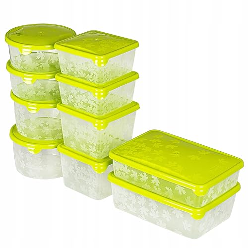 Tadar Lot de 10 boîtes de conservation avec couvercle - Pour cuisine - Anti-fuite - Micro-ondes - Réfrigérateurs - Sans BPA - Roquette
