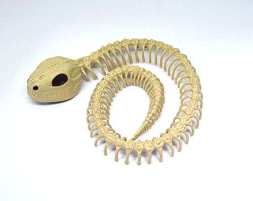 [W{쏊]|Iwr̍iW{̃z[͌^A{IH[I //nEB/XPg/XJ/u