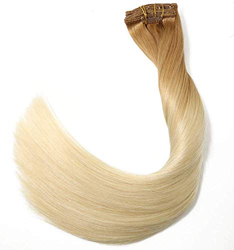 Clip in Hair Extensions 120G 100% Brazilian Remy Human Hair Extensions 9A Thickened Soft Silky Straight for Fashion Women 7pcs 17clips Full Head (14Inch Golden Brown Fading to Platinum Blonde)