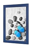 OlimpJOY Cadre photo 84.1 x 118.9 cm A0 Cadre en MDF Bleu Foncé Flou 35mm avec verre acrylique antireflet