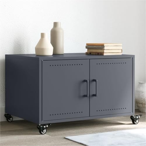 Table basse gain de place avec grands rangements fermés