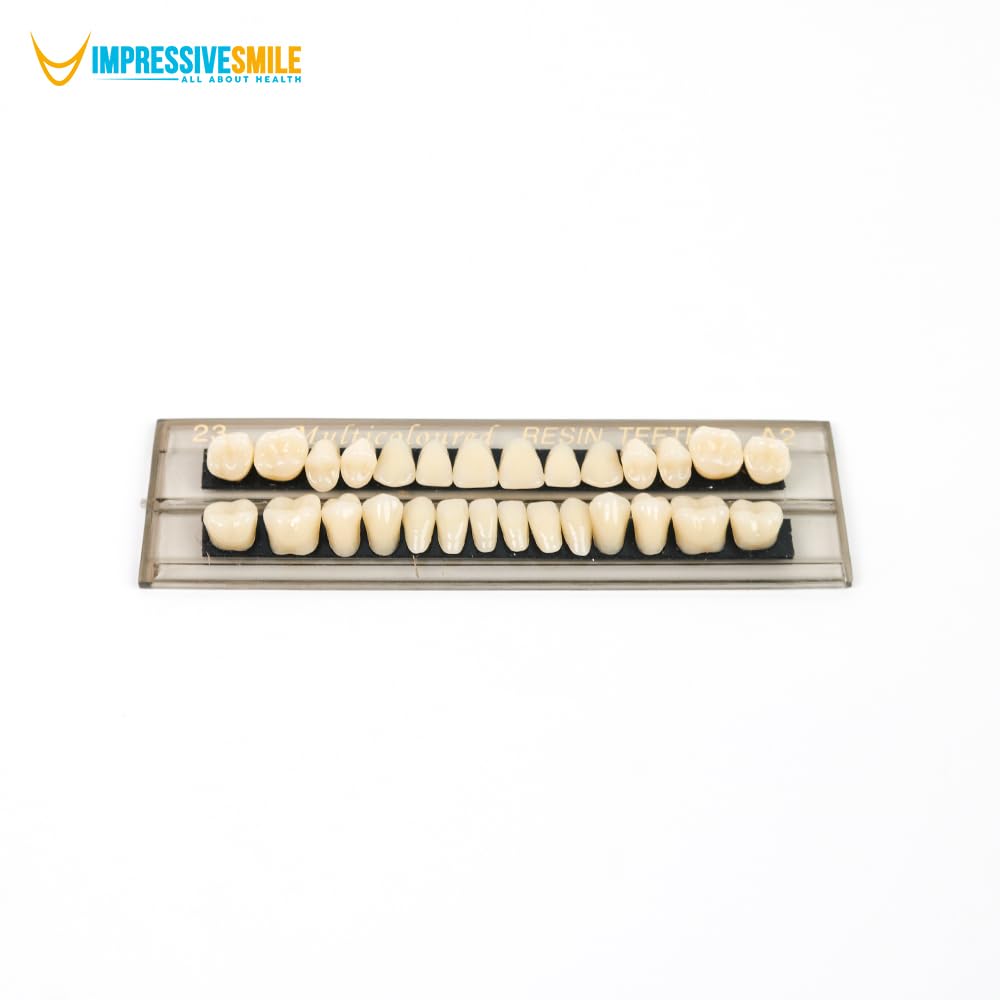 Dental Acrylic Resin Denture Teeth Synthetic Polymer Tooth Kit Upper + Lower for Dentistry, Education, Teaching Models, Halloween Horror Prop, Replacement, DIY (23A2(1SET))
