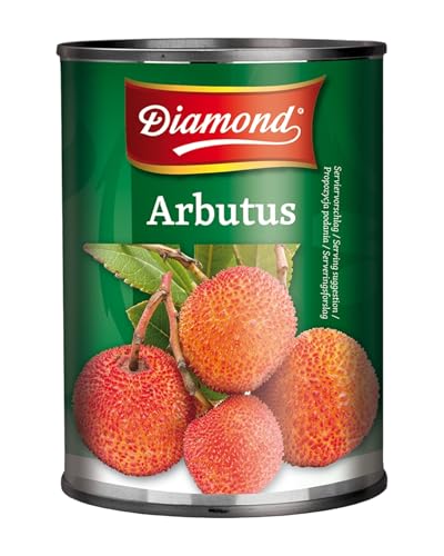 DIAMOND Arbutus in leichtem Sirup, für exotischen Fruchtsalat und Desserts - 1 x 540 g