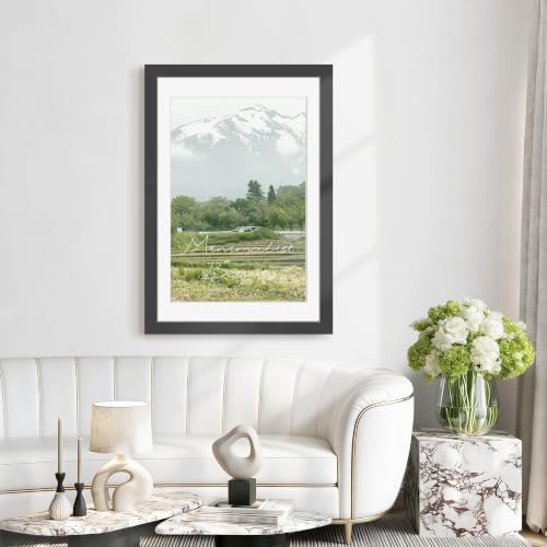 Image of Picrit 24x36 Black Poster Frame, Picture Frame for Wall, 3 Pack