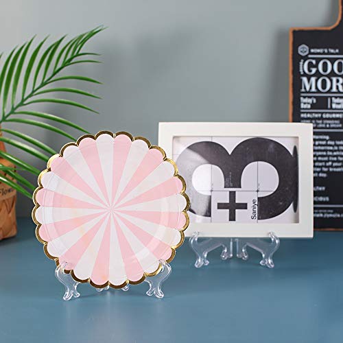 Tincogo 6 Pollici Trasparente Plastica Cavalletto