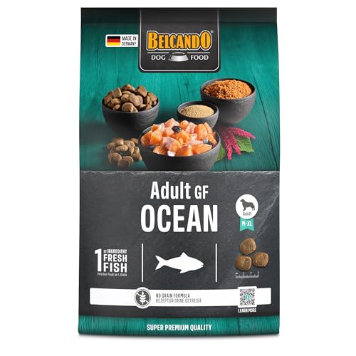 Belcando Adult GF Ocean [4 kg] Cibo per cani senza cereali | Cibo secco puro senza cereali con pesce | Alimento completo per cani adulti di almeno 1 anno